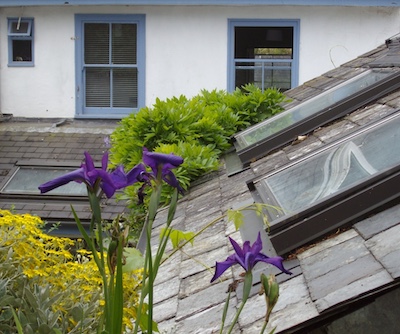 view of 7, the grove bed and breakfast, Totnes